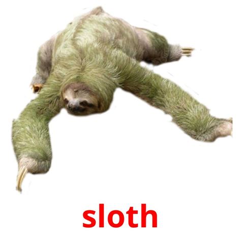 sloth in tagalog